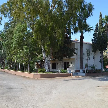 Hayat Kocaslı